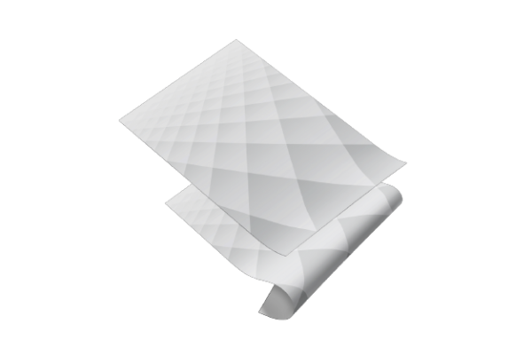 Non Woven Bag